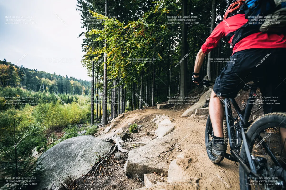 A mountain biker navigates rocky terrain through a dense forest, evoking the excitement of summer mountain biking and backcountry exploration.