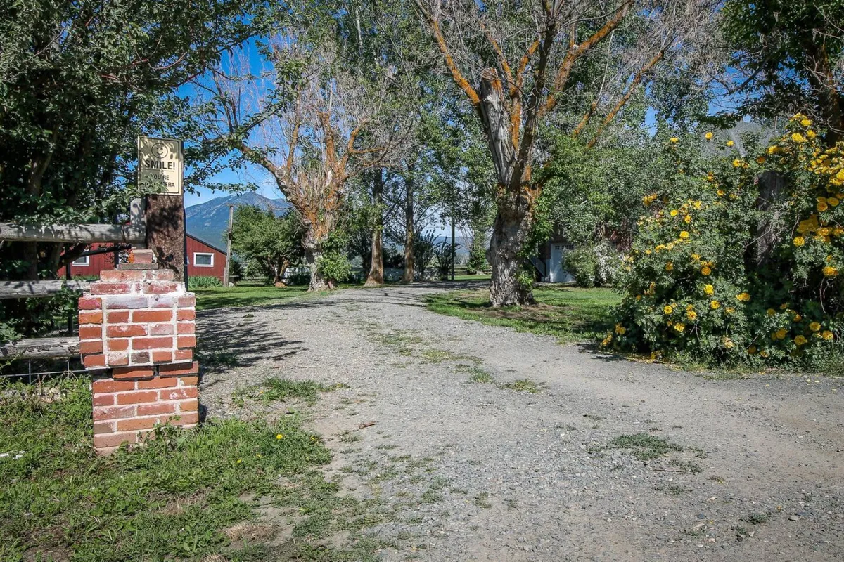 This exterior shot highlights a gravel driveway bordered by vibrant yellow flowers, with lush greenery and a brick entrance post lining the road. The tranquil scene evokes the feeling of exploring quiet country roads and open spaces.